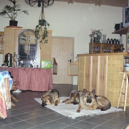 Solar בית הארחה